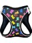 Air-Mesh Harness Göğüs Tasması Jellybean 1