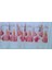Lisanslı Barbıe The Prıncess The Popstar Tül PERDE-180 cm x 200 cm -Pilesiz 5
