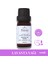 %100 Saf Lavanta Yağı (10 ml) - Cam Şişe 1
