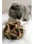 Ağaç Dalı Şeklinde Kedi Oyuncağı Kedi Nanesi Kedi Nane Topu 2