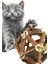 Ağaç Dalı Şeklinde Kedi Oyuncağı Kedi Nanesi Kedi Nane Topu 5