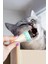 Dondurma Şeklinde Kedi Nanesi 180 Derece Dönen Nane Topu 1