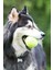 Evcil Hayvan Kedi Köpek Tenis Topu Getir Oyuncağı Sağlam Kaliteli 1