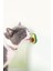 Kedi Yalama Topu Avakado Tasarımlı Nane Aromalı 3