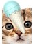 Kedi Nanesi Dondurma Şekilli İce Cream Oyuncak, Doğal Catnip Otu, Kedi İçin 5