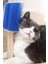 Cat It Pratik Kedi Tüyü Kaşıma Ve Tarama Aparatı, Duvara Monte Pratik Kaşıma Aracı 3