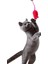 Kedi Eğitim Oyun Faresi, Sesli, 2 Adet Kedi Egzersiz Oyuncağı Ve Oyun Aracı 3