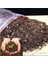 Dikenler Tacı Japon İğnesi Euphorbia Milii Toprağı 3 Kğ 2
