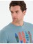 Bisiklet Yaka Slim Fit T-Shirt-Nil Mavisi 5