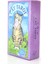 Tarot Kartı Cat Tarot 1