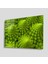 - Yeşil Bitki Green Plant 1