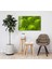 - Yeşil Bitki Green Plant 2