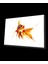 - Balık Grafik Çizimi Cam Tablo Graphic Painted Fish 1