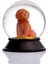 Cam ve Reçine Altın Patiler Köpek Toy Poodle (Tarçın) Kar Küresi Hediye 2