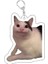 Anahtarlık Cep Telefonu Charm Araba Kolye Sevimli Kedi Kusmuk Meme Kırmızı Maskeli Köpek Meme Siyah Kedi Çığlık Meme Savaşta Kedi Meme Renk: Stil 5 / Boyut: 55MM (Yurt Dışından) 1