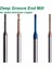 D1.5-L20.0-H04 LN60-3AL 1 Pc HRC60 Hassas Minyatür Karbür Freze Kesiciler Sabit Oluk Tungsten Cnc End Mill Uzun Boyunlu Fraise Metal Alüminyum Bit (Yurt Dışından) 2