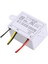 3002 Dc 24V 12V/24V/110V~220V Dijital Sıcaklık Kontrol Cihazı Ntc Sensör Termostatı Kuluçka Soğutma Isıtma Için (Yurt Dışından) 5