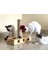 İnteraktif Kedi Oyuncak Tırmalama 6
