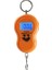 Turuncu Mini 50KG/10G Taşınabilir LCD Ekran Bagaj Balıkçılık Kanca Elektronik Ağırlık Dijital Ölçekli Cep Tartı Asılı Ölçek (Yurt Dışından) 1
