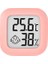 Pembe Mini LCD Dijital Termo-Higrometre Sıcaklık Ölçüm Aletleri Manyetik Emme ile Sıcaklık ve Nem Ölçer (Yurt Dışından) 1