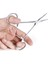 Düz 12.5 cm Paslanmaz Çelik Kavisli Uç ve Düz Uçlu Forseps Kilitleme Kelepçeleri Hemostatik Forseps Arteriyel Forseps Kelepçe Balık Oltası Pense (Yurt Dışından) 1