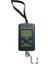 Gümüş Çok Fonksiyonlu Mini 40 KG/10G Elektronik Asılı Balıkçılık Bagaj Balanca Taşınabilir Dijital Kullanışlı Cep Ağırlık Kanca Terazi (Yurt Dışından) 1