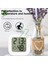 Celsius Fahrenheit LCD Dijital Termometre Higrometre Kapalı Oda Elektronik Sıcaklık Nem Sensörü Ölçer Hava Istasyonu Ev Için (Yurt Dışından) 3