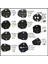 A-02H1 Hs Serisi 230MM Pense Çeneli Sıkma Aleti HS-101 HS-40J HS-03B HS-03C HS-04WF HS-02H1 HS-02WF2C HS-625WFL HS-06WF2C HS-10A HS-25J (Yurt Dışından) 2