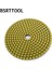 400 Bsrttool 4 "ıslak Esnek Elmas Parlatma Pedi Granit Mermer Beton Taş Cila Disk Parlatma Taşlama Tekerleği (Yurt Dışından) 1