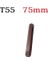 75MM-T55 Manyetik Torx Tornavida Uçları 30/75MM T20 T25 T30 T40 T45 T50 T55 Hex Shank Elektrikli Tornavida Bit Darbeli Tornavida (Yurt Dışından) 1