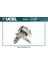 UCEL-10643 - Motor Takozu Ön Sağ Megane Iıı Scenıc Iıı Fluence 1.5 Dcı 110 Hp 1