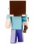 Minecraft Metalfigs Die Cast Figür - Steve 4