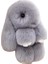 Üç Model Boyutu % 100 Doğal Rex Tavşan Kürk Açık Gri / Boyut: 13 cm (Yurt Dışından) 1