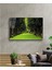 - Manzara Orman Ağaçlar Yeşil Cam Tablo 2