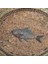 Lima Salata Kasesi 23CM 4
