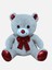 Papyonlu Peluş Ayı 1