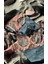 Pembe Çıtır Desen Çiçekli Iç Çamaşır Takımı Kadın Bralette Balenli Sütyen & Tanga String 1