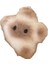 Capybara Peluş Bebek Yıldız Squeak Oyuncak Karikatür Yıldız Anahtarlık Kolye Yumuşak Doldurulmuş Bebek Sırt Çantası Araba Çantası Anahtarlık Dekor Çocuk Hediye (Yurt Dışından) 1