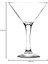 Menashop Misket 6'lı Martini Kadehi 2