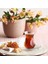 Menashop Alya 12'li Çay Seti, Lv-Alyas1, LV-ALYAS112 Adet (1'li Paket), Şeffaf 1