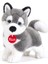 22271 - Husky Marcus 1