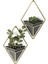 Menashop Trigg Duvar Vazosu ve Geometrik Dekorasyon - Oda Bitkileri, Sukulentler, Hava Bitkileri, Kaktüs, Yapay Bitkiler ve Daha Fazlası Için Saksı, Siyah/pirinç, 2'li Set, Küçük 1