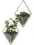 Menashop Trigg Duvar Vazosu ve Geometrik Dekorasyon - Oda Bitkileri, Sukulentler, Hava Bitkileri, Kaktüs, Yapay Bitkiler ve Daha Fazlası Için Saksı, Siyah/pirinç, 2'li Set, Küçük 3