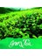 Ink Of The Senses 15 ml Scented 'greentea' - Green 2