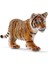 Wild Life Yavru Kaplan 2