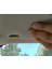 Alfa Romeo 156 Güneşlik Tutucu Klips - 3D 2