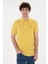 Erkek Polo Yaka Basic Tişört 2