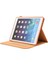 Ipad 10.2 2021/2020/2019 Için (Yurt Dışından) 5