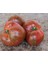 Dward Black Fire Etli Beef Domates Tohumu (10 Tohum) 2