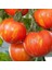 Alacalı Tigerella Domates Tohumu (15 Tohum) 1
